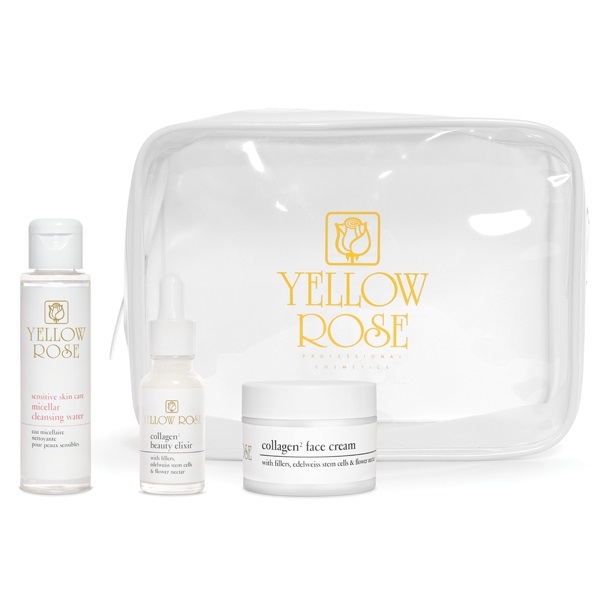 COLLAGEN2 mini set